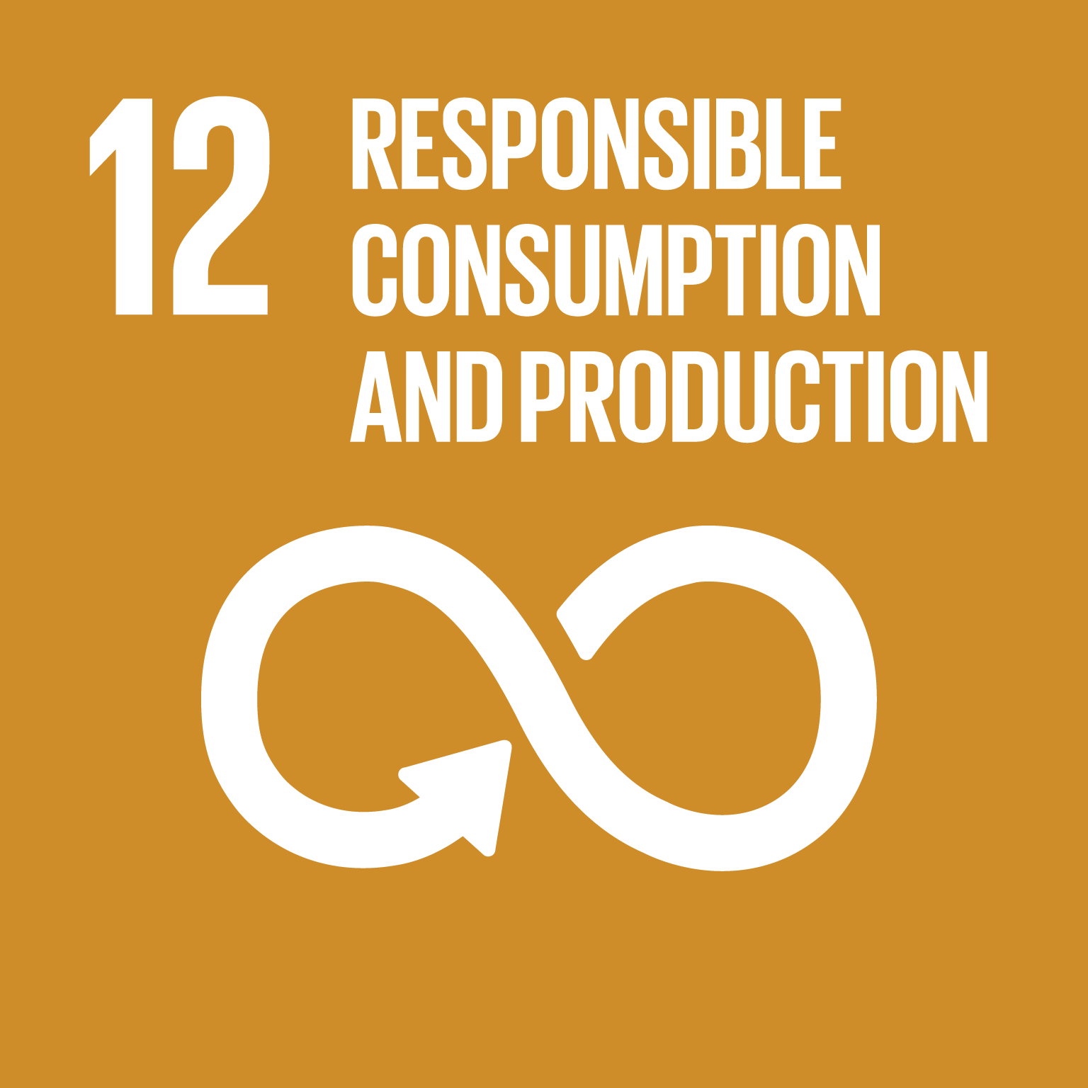 United Nations Sustainable Development Goal 12