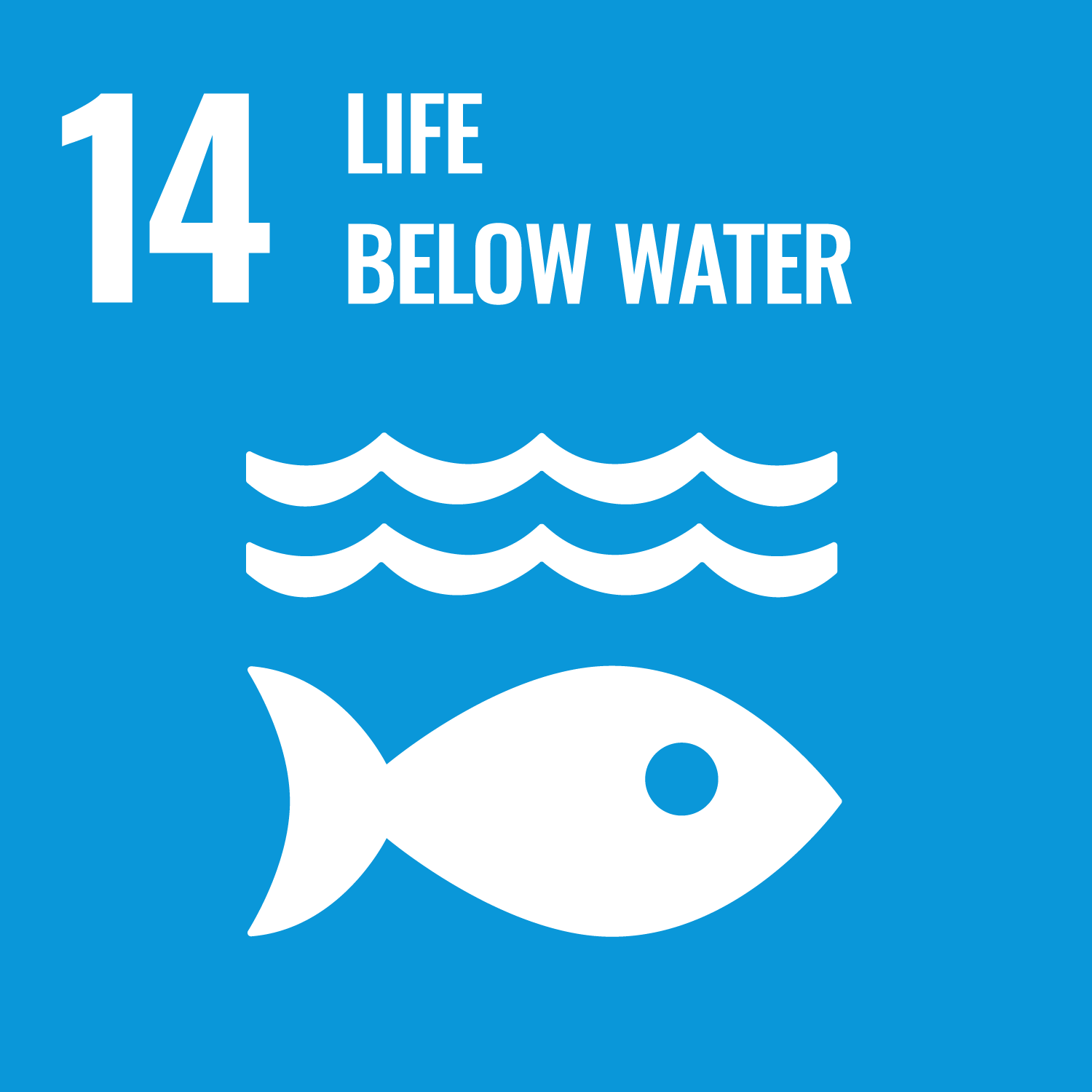 United Nations Sustainable Development Goal 14